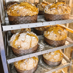 PANETTONE