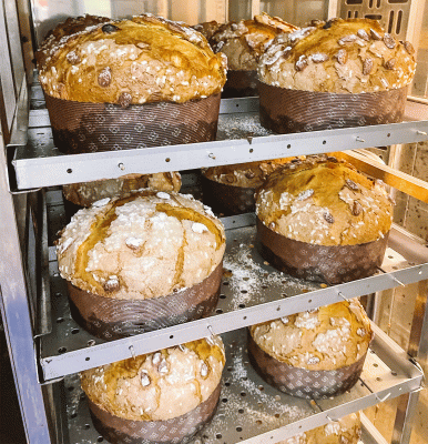 PANETTONE
